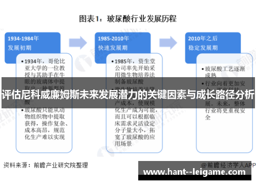 评估尼科威廉姆斯未来发展潜力的关键因素与成长路径分析